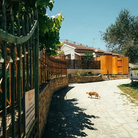 Kalypso Kávos